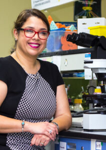 Profile picture of P. Ortiz-Bermúdez