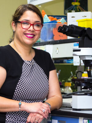 Profile picture of P. Ortiz-Bermúdez