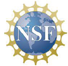 NSF