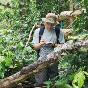 Laboratorio de Silvicultura, Ecología y Manejo de Bosques