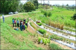 Laboratorio de Fisiología de Plantas