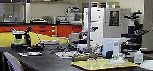 Laboratorio de Fitopatología