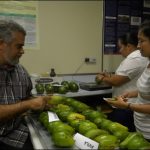 Laboratorio de Frutales y Horticultura Orgánica