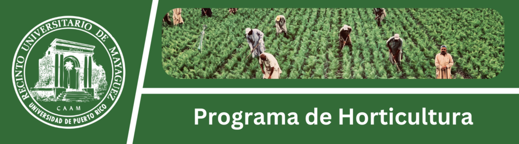 Programa Graduado - Horticultura