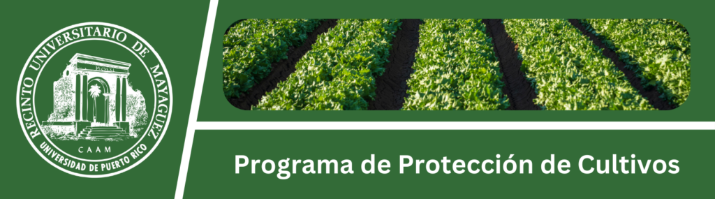 Programa Graduado - Protección de Cultivos