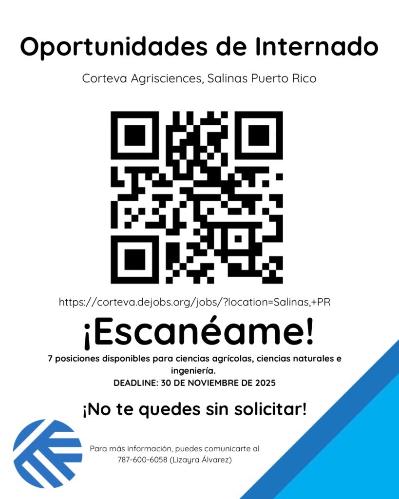 Oportunidades de Internado