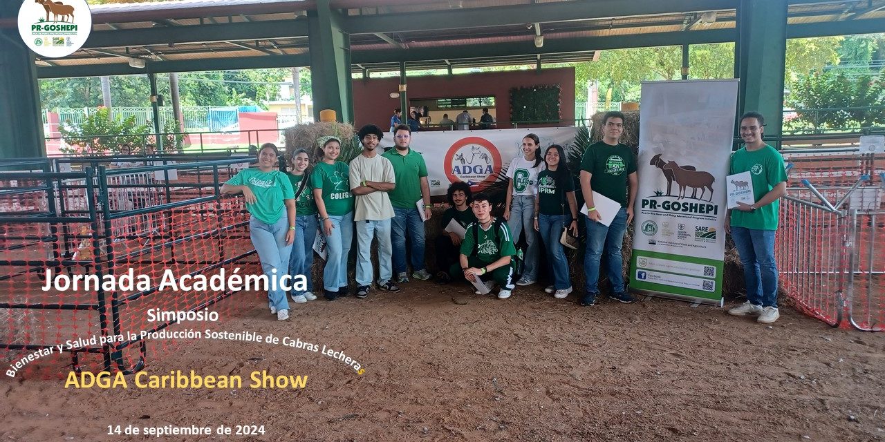 460041999_530075569537552_8684313899049807160_n