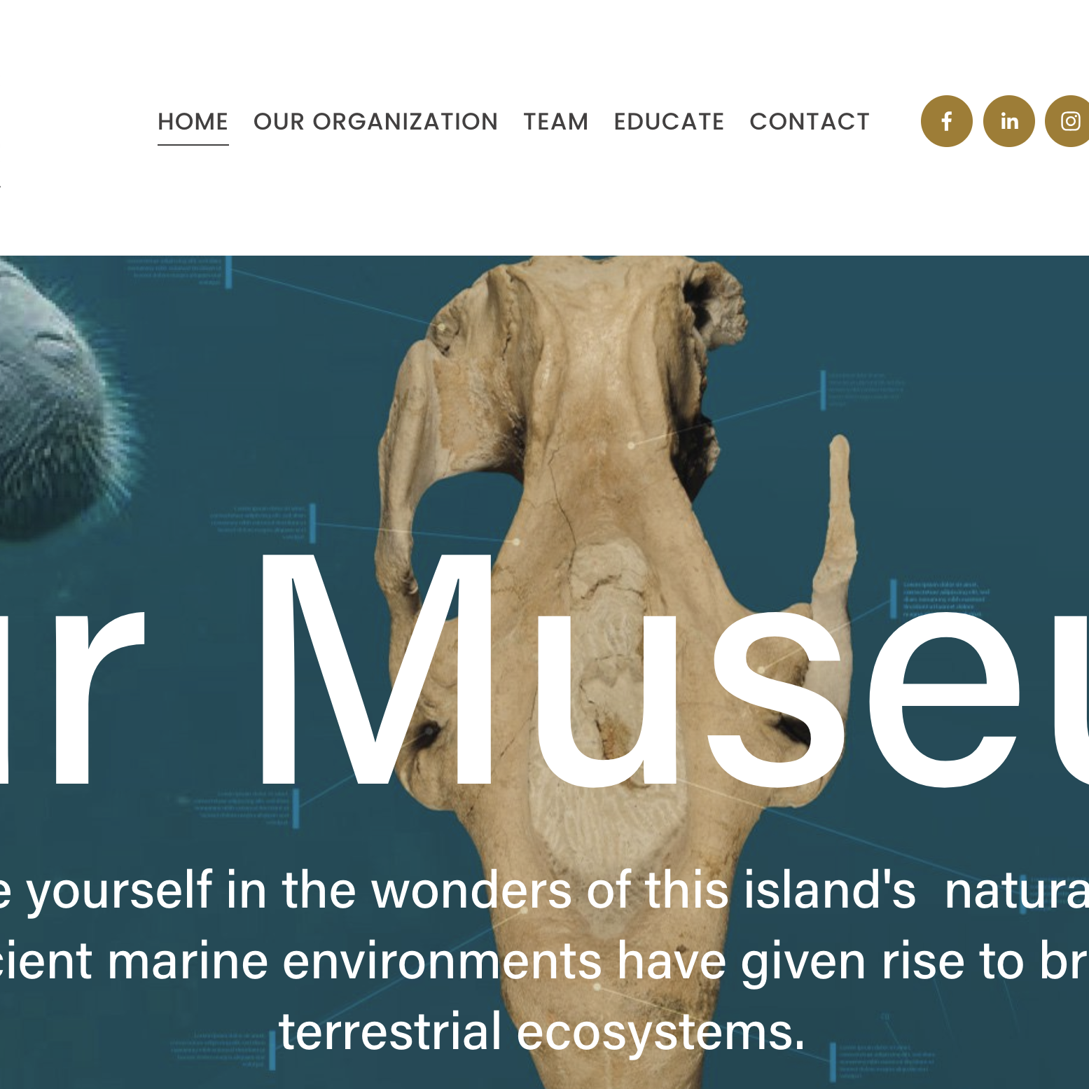 Screen Shot 2024-11-12 at 2.01.13 PM