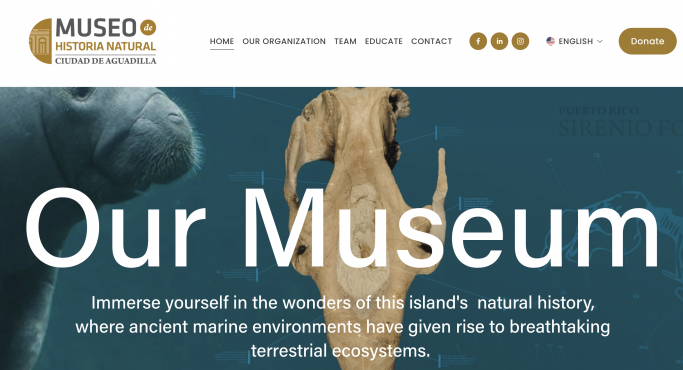 Screen Shot 2024-11-12 at 2.01.13 PM