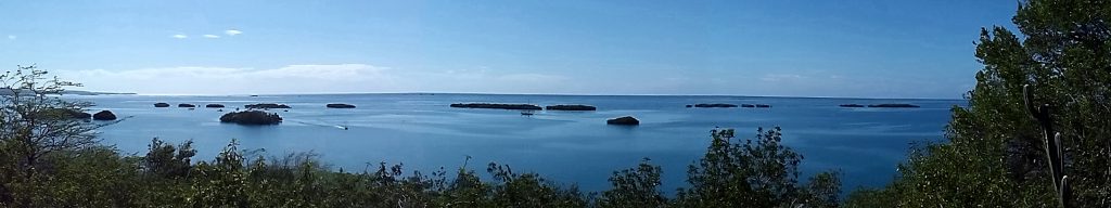 Panoramic view from Isla Magueyes. Foreground mangroves, bright blue ocean water with a light blue sky. Photo by: Harry Justiniano