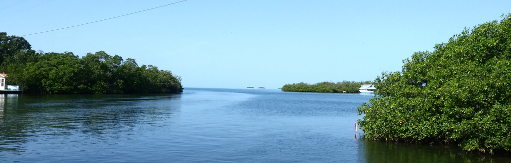 Photo of Parguera Mangrove bay. Calm ocean waters a clear sky and various small mangrove islands near and far.