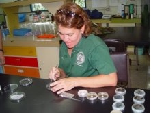 http://www.uprm.edu/cms/index.php?a=file&fid=4651