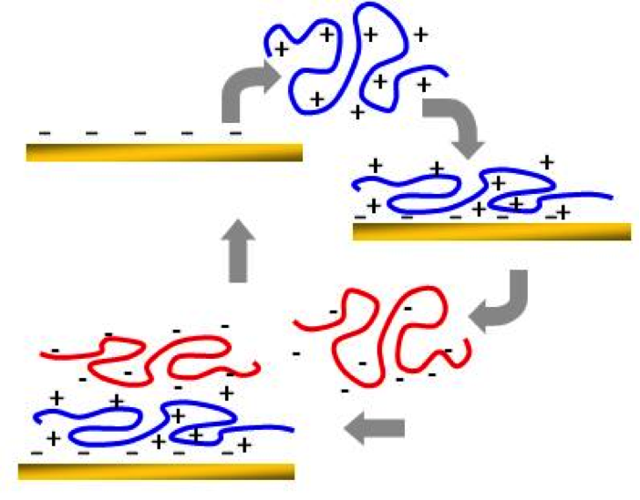 LbL Process