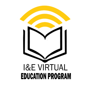 El objetivo principal del programa es mejorar la accesibilidad al conocimiento existente y aumentar la capacidad de crear nuevas oportunidades dentro del ecosistema de I&E a través de un formato basado en la web. VMP incluye módulos en línea, seminarios web y tutoría en línea individualizada con el mentor apropiado. Los objetivos principales son crear E-Teams basados en tecnología, facilitar el camino hacia la comercialización y acelerar el lanzamiento de sus empresas.