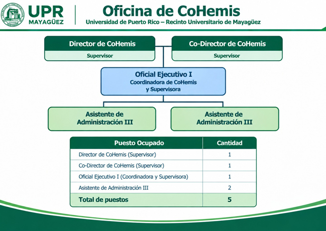 organigrama_cohemis