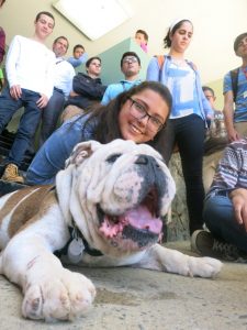 UPRM Students and Bulldog