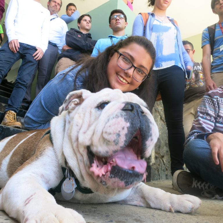UPRM Students and Bulldog