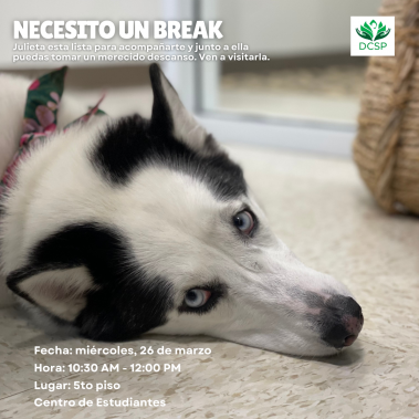 Necesito un break Te cuesta concentrarte y sientes que tu mente está cansada, es posible que sea el momento de tomar un break. Un breve descaso puede ayudarte a recargar energías y Julieta esta lista para ayudarte a reducir la tensión y permitir que tu mente descanse. Así que ven a visitarla y energiza tu día con su amor incondicional. 📅 Fecha: miércoles 26 de marzo 🕒 Hora: 10:30 am-12:00 pm 📍 Lugar: DCSP - 5to piso Centro de Estudiantes *Espacios limitados (15 espacios disponibles)