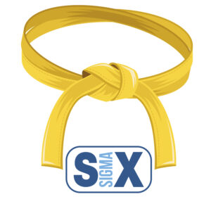 Lean Six Sigma - Yellow Belt