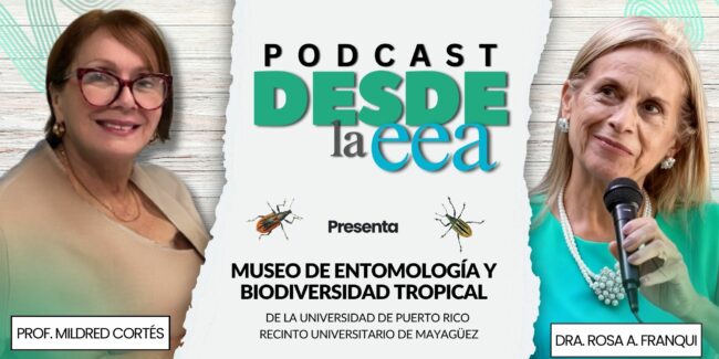Museo de Entomologia y Biodiversidad Tropical Museo de Entomologia y Biodiversidad Tropical