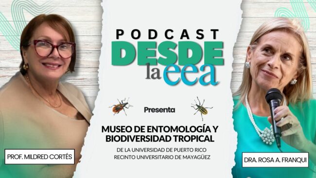 Museo de Entomologia y Biodiversidad Tropical Museo de Entomologia y Biodiversidad Tropical