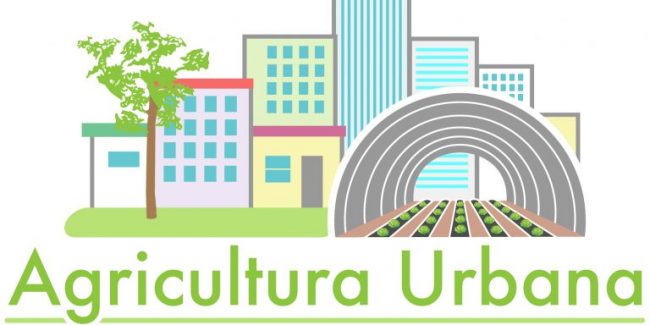 Logo-PAU-NUEVO_5-02-2-768×462