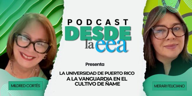 Dra. Merari Feliciano Rivera