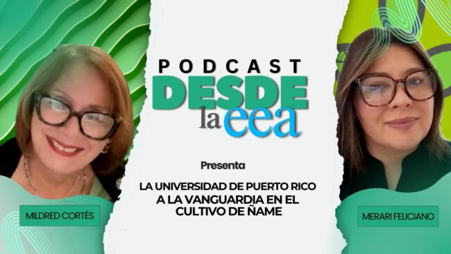 Dra. Merari Feliciano Rivera