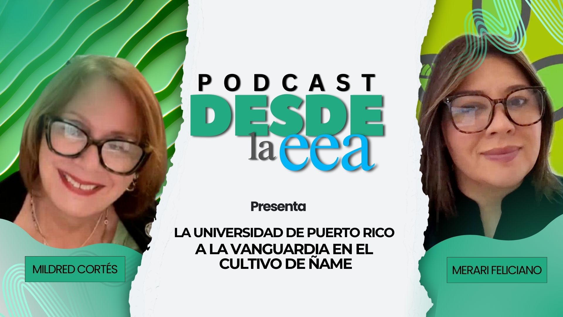 Dra. Merari Feliciano Rivera Dra. Merari Feliciano Rivera