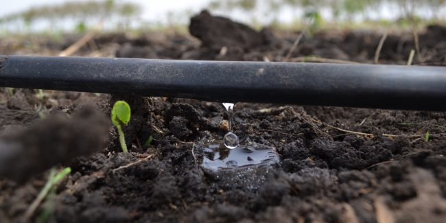 Riego por Goteo