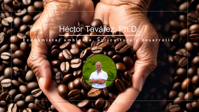 Simon Tavarez