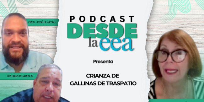 Desde la EEA Podcast Gallinas Ponedoras Desde la EEA Podcast Gallinas Ponedoras