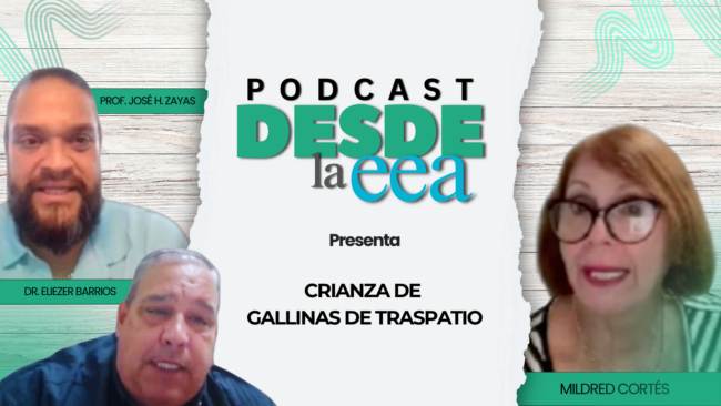Desde la EEA Podcast Gallinas Ponedoras Desde la EEA Podcast Gallinas Ponedoras