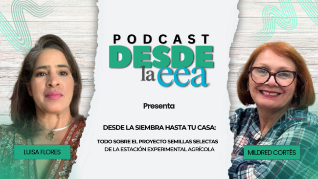 Desde la EEA Podcast Luisa Agro. Luisa Flores - Semilla Selecta