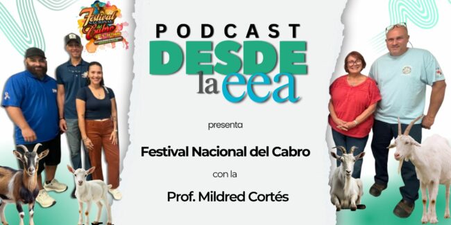 Festival del Cabro Festival del Cabro