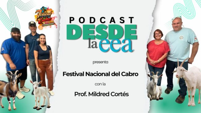 Festival del Cabro Festival del Cabro