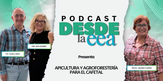 Arte promocional del podcast Desde la EEA con la Profa. Mildred Cortés y los invitados Dr. Tugrul Giray y Dra. Aixa Ramírez sobre el tema “Apicultura y agroforestería para el cafetal