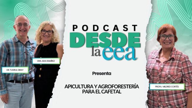 Arte promocional del podcast Desde la EEA con la Profa. Mildred Cortés y los invitados Dr. Tugrul Giray y Dra. Aixa Ramírez sobre el tema “Apicultura y agroforestería para el cafetal