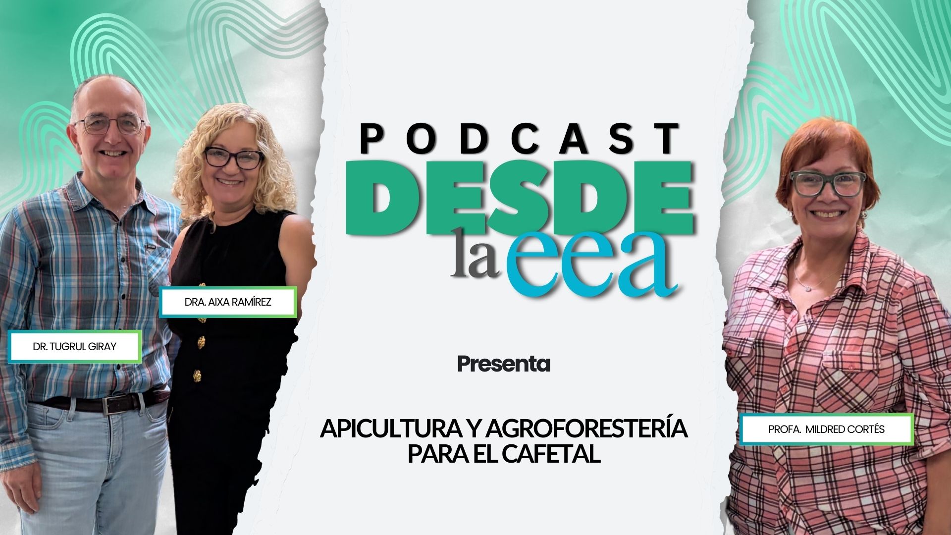 Arte promocional del podcast Desde la EEA con la Profa. Mildred Cortés y los invitados Dr. Tugrul Giray y Dra. Aixa Ramírez sobre el tema “Apicultura y agroforestería para el cafetal