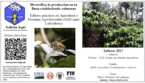 Cartel informativo sobre talleres prácticos de apicultura y sistemas agroforestales para caficultores en Puerto Rico, con imágenes de una abeja polinizando una flor de café y un cafetal, fechas de talleres en Adjuntas, Gurabo y Yauco, y un código QR para inscripción.
