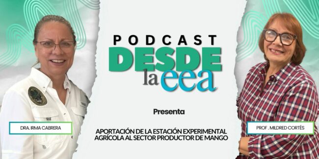 Aportacion de la Estación Experimental Agrícola al sector productor de mango Aportacion de la Estación Experimental Agrícola al sector productor de mangó