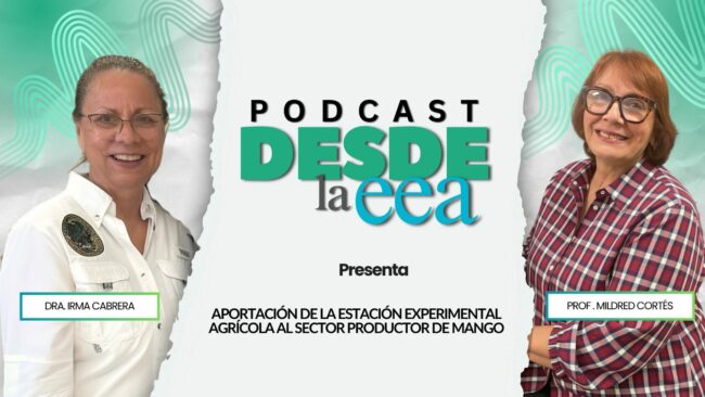 Aportacion de la Estación Experimental Agrícola al sector productor de mango Aportacion de la Estación Experimental Agrícola al sector productor de mangó