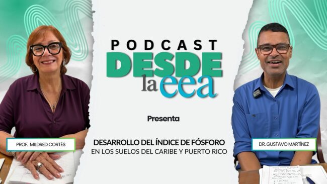 DESARROLLO DEL ÍNDICE DE FÓSFORO EN LOS SUELOS DEL CARIBE Y PUERTO RICO DESARROLLO DEL ÍNDICE DE FÓSFORO EN LOS SUELOS DEL CARIBE Y PUERTO RICO