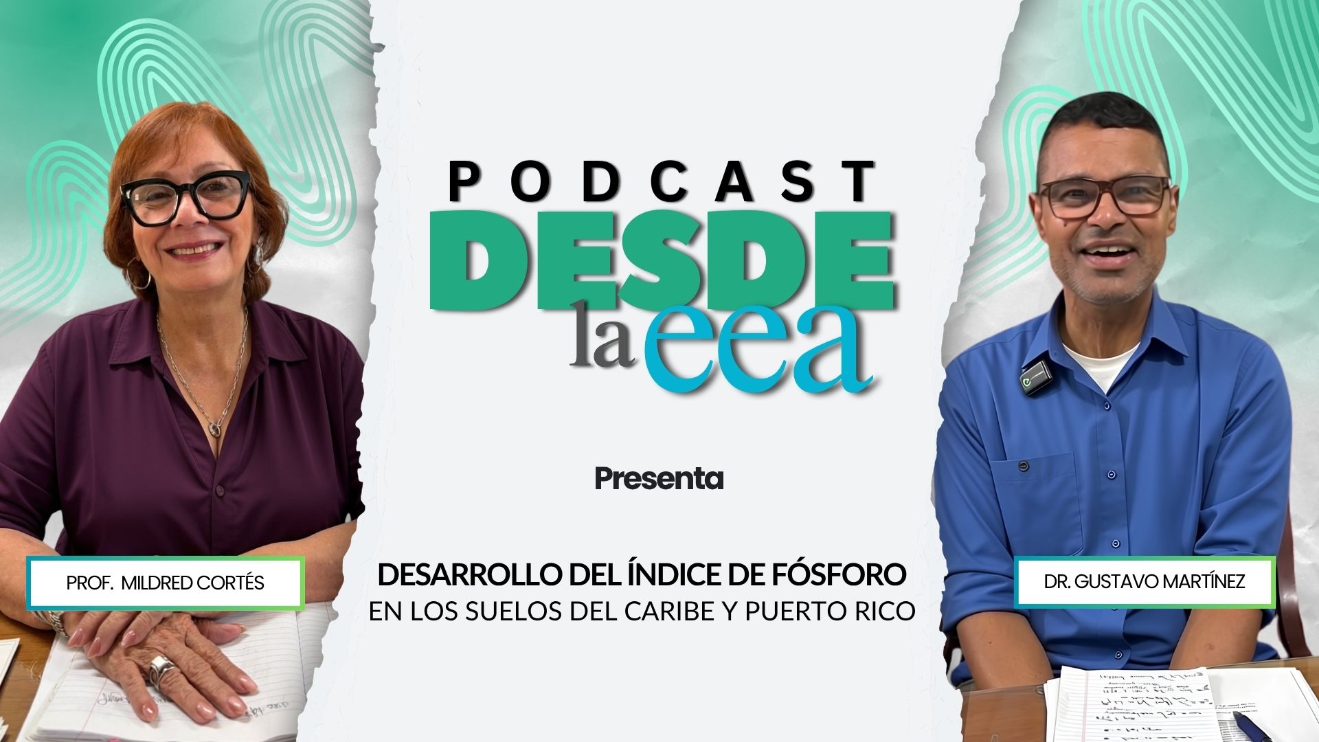 DESARROLLO DEL ÍNDICE DE FÓSFORO EN LOS SUELOS DEL CARIBE Y PUERTO RICO DESARROLLO DEL ÍNDICE DE FÓSFORO EN LOS SUELOS DEL CARIBE Y PUERTO RICO