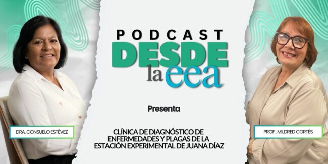 Desde la EEA Podcast-11 Clínica de Diagnóstico de Enfermedades y Plagas de la Estación Experimental de Juana Díaz