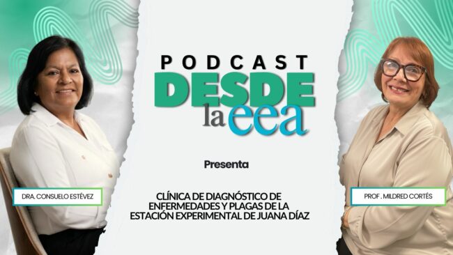Desde la EEA Podcast-11 Clínica de Diagnóstico de Enfermedades y Plagas de la Estación Experimental de Juana Díaz