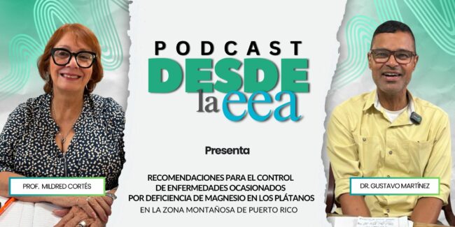 Recomendaciones para el control de enfermedades ocasionados por deficiencia de magnesio en los plátanos en la zona montañosa de Puerto Rico Recomendaciones para el control de enfermedades ocasionados por deficiencia de magnesio en los plátanos en la zona montañosa de Puerto Rico