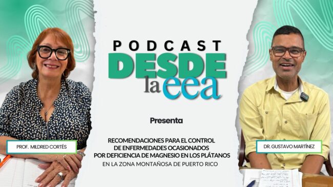 Recomendaciones para el control de enfermedades ocasionados por deficiencia de magnesio en los plátanos en la zona montañosa de Puerto Rico