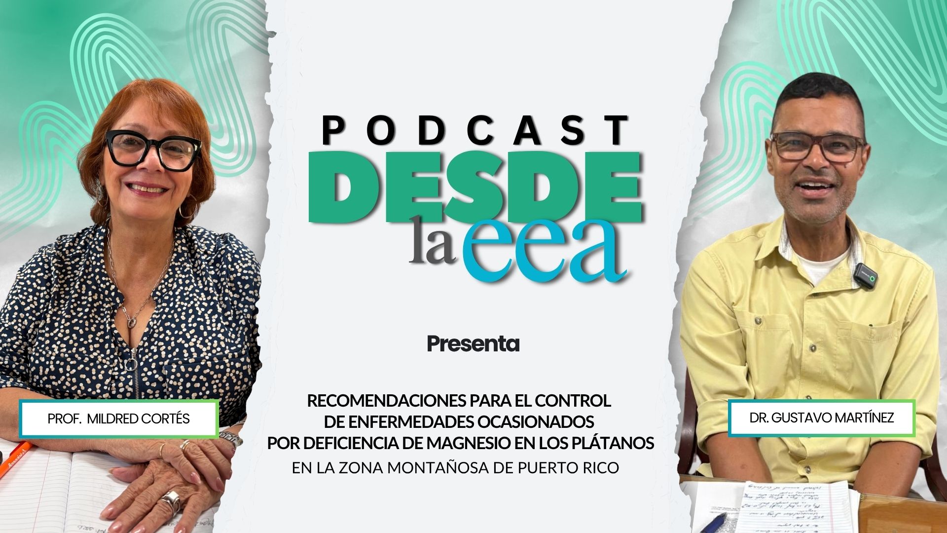 Recomendaciones para el control de enfermedades ocasionados por deficiencia de magnesio en los plátanos en la zona montañosa de Puerto Rico Recomendaciones para el control de enfermedades ocasionados por deficiencia de magnesio en los plátanos en la zona montañosa de Puerto Rico