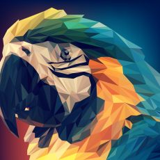 low-poly-3305284_1920 low-poly-3305284_1920